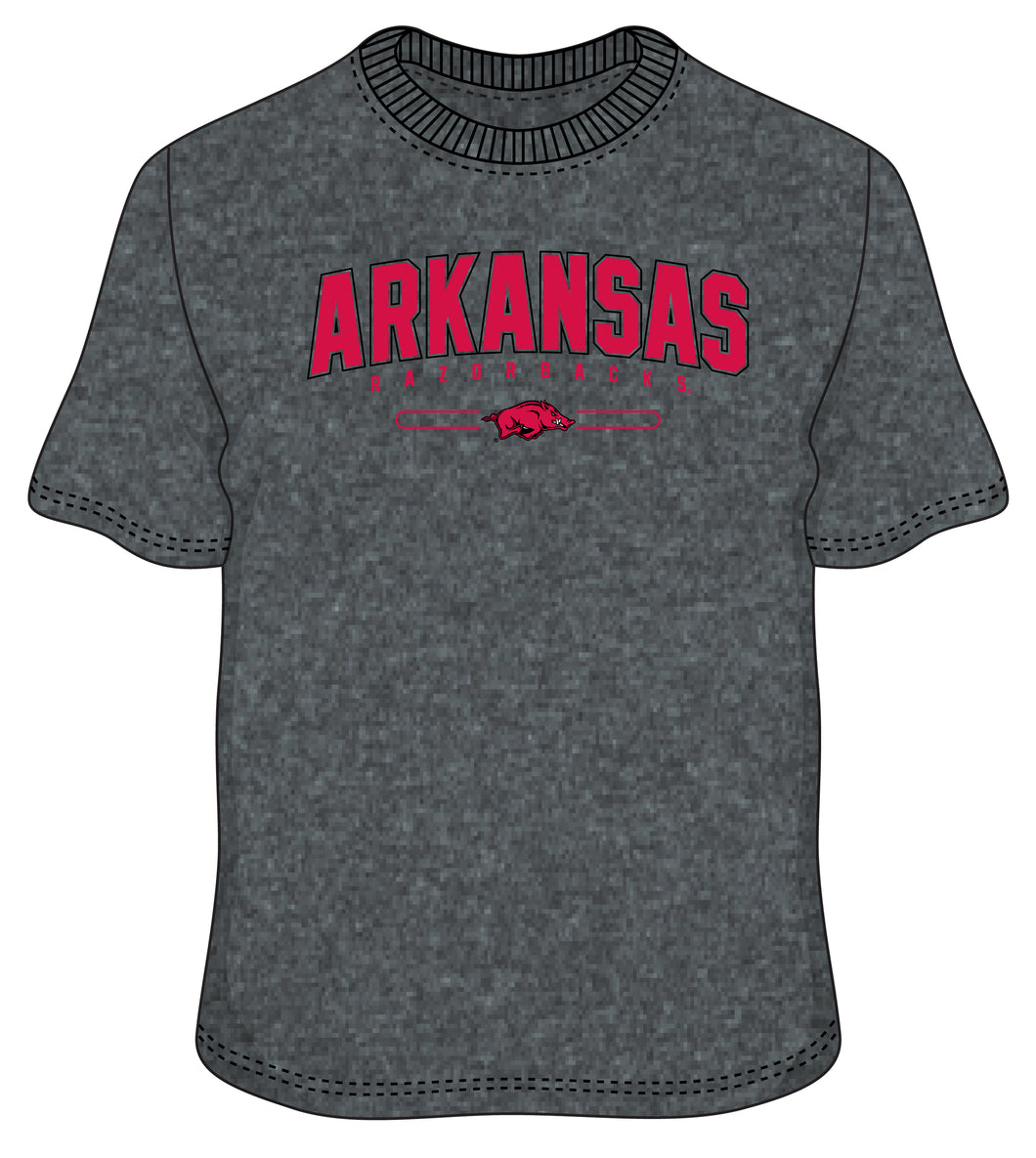 Arkansas On Campus t shirt